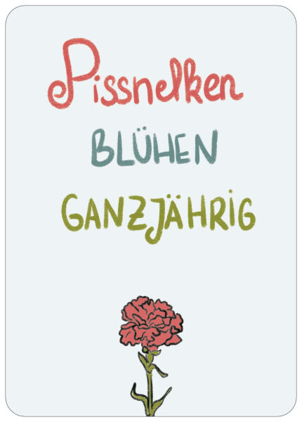 Postkarte Pissnelken