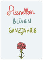Postkarte Pissnelken