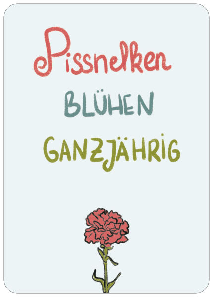 Postkarte Pissnelken
